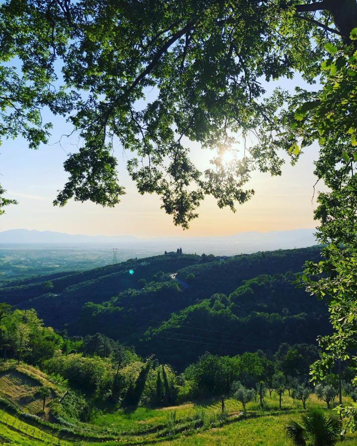 Villa Del Parco In Tuscany San Baronto Exterior foto